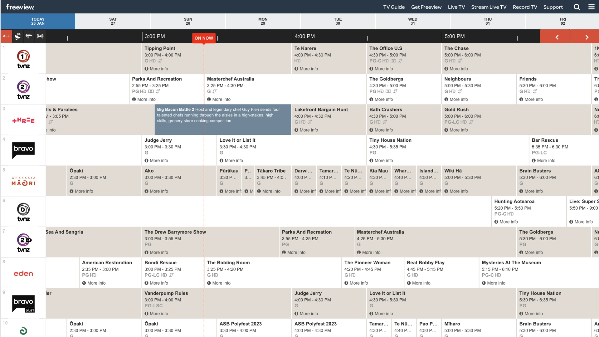 Website design and TV guide development